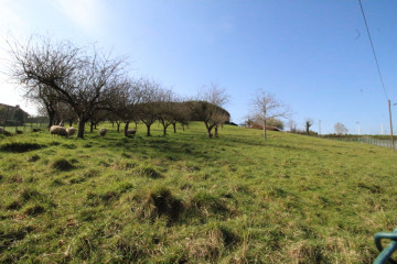 Fincas y solares-Venta-GijÃ³n-522954-Foto-5-Carrousel