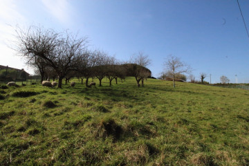 Fincas y solares-Venta-GijÃ³n-522954-Foto-4-Carrousel