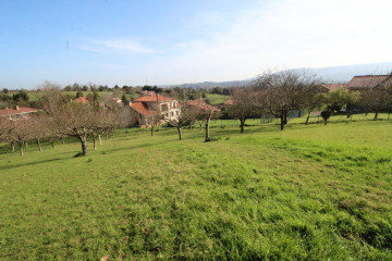 Fincas y solares-Venta-GijÃ³n-522954-Foto-35-Carrousel