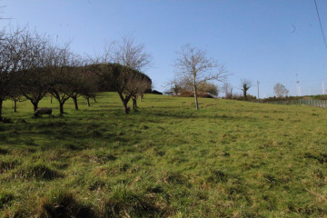 Fincas y solares-Venta-GijÃ³n-522954-Foto-3-Carrousel