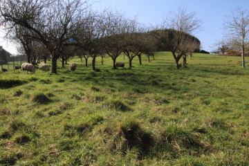 Fincas y solares-Venta-GijÃ³n-522954-Foto-0-Carrousel