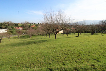 Fincas y solares-Venta-GijÃ³n-522962-Foto-33-Carrousel