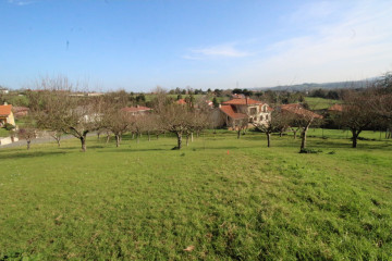 Fincas y solares-Venta-GijÃ³n-522962-Foto-34-Carrousel