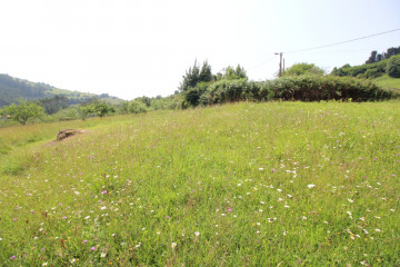 Fincas y solares-Venta-GijÃ³n-705840-Foto-11-Carrousel