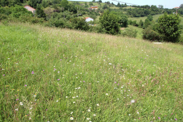 Fincas y solares-Venta-GijÃ³n-705840-Foto-29-Carrousel