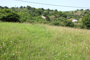 Fincas y solares-Venta-GijÃ³n-705840-Foto-21-Carrousel