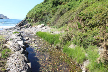 alrededores de la playa 