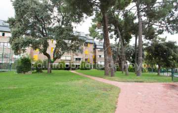 Jardín