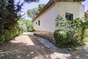 Jardín
