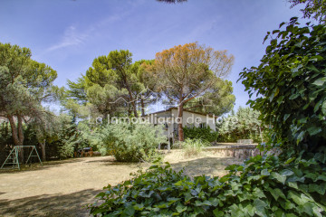Jardín