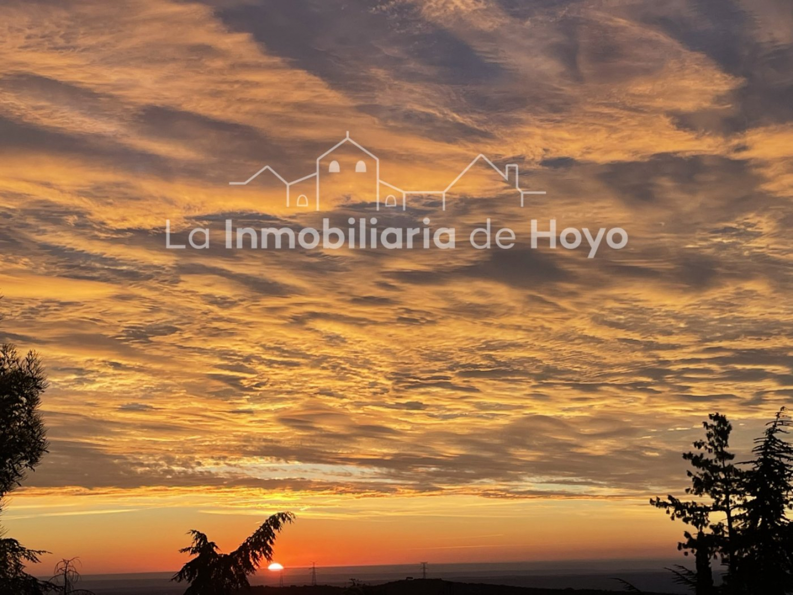 Fincas y solares-Venta-Hoyo de Manzanares-923066-Foto-6