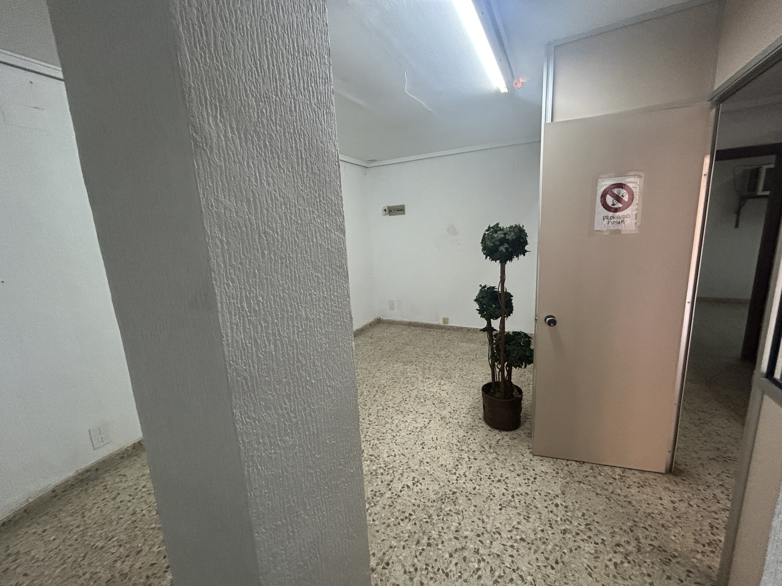 Negocios-Alquiler-Manises-1722699-Foto-3