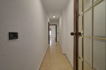 Pisos-Alquiler-Chilches-2289317