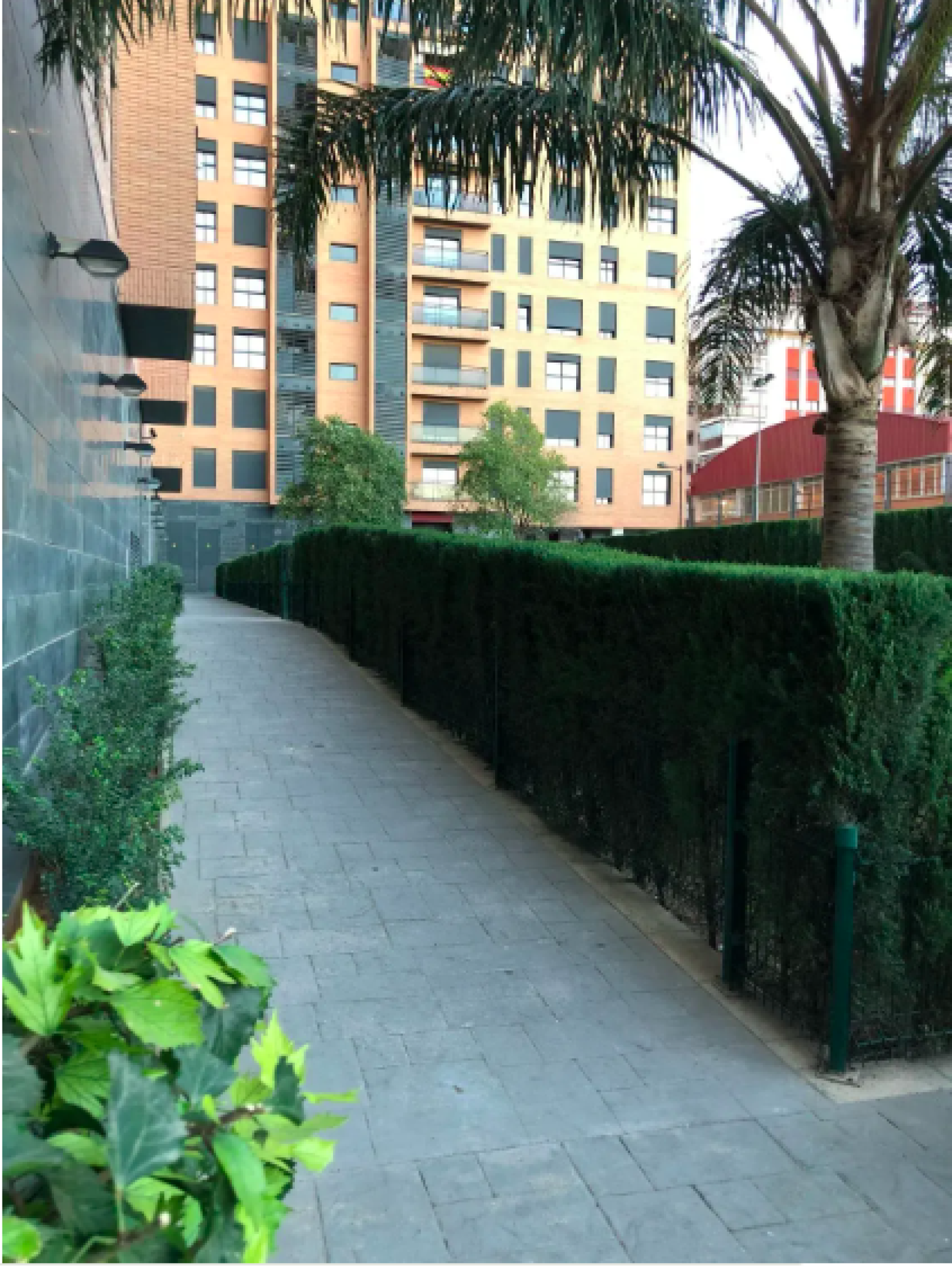 Pisos-Alquiler-Valencia-1720907-Foto-19