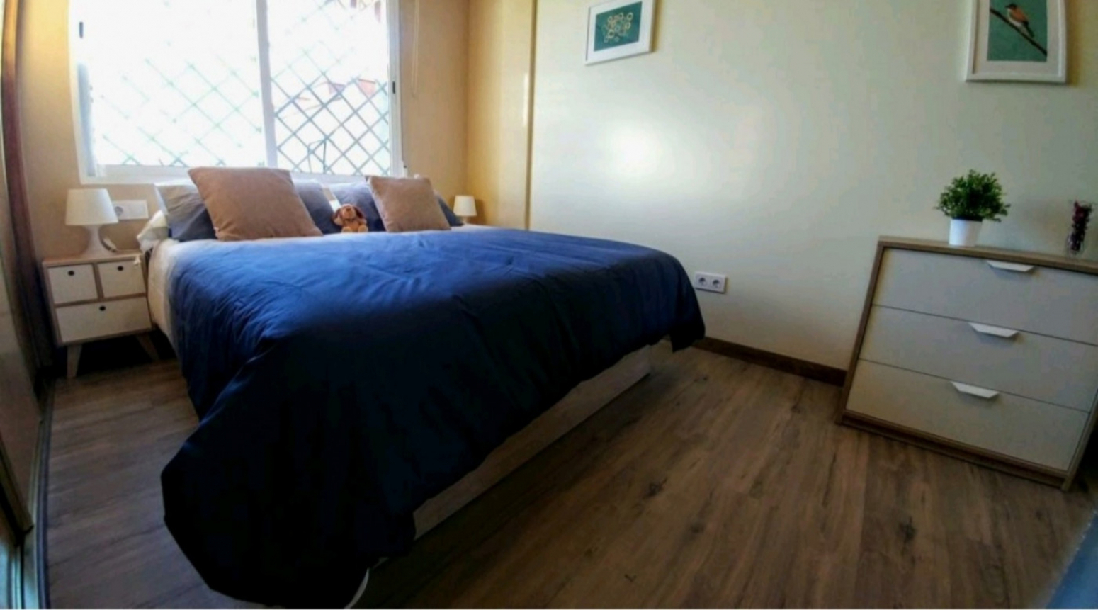 Pisos-Alquiler-Valencia-1724601-Foto-7