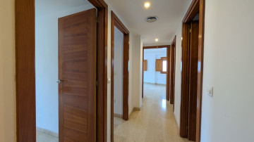 Pisos-Alquiler-Valencia-2284688-Foto-6-Carrousel