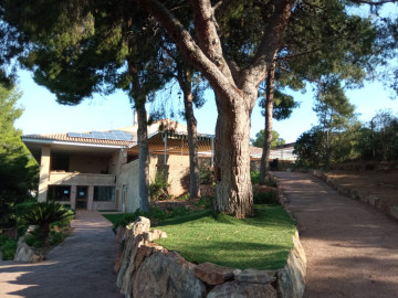 Casas o chalets-Venta-PuÃ§ol-1186076-Foto-87-Carrousel