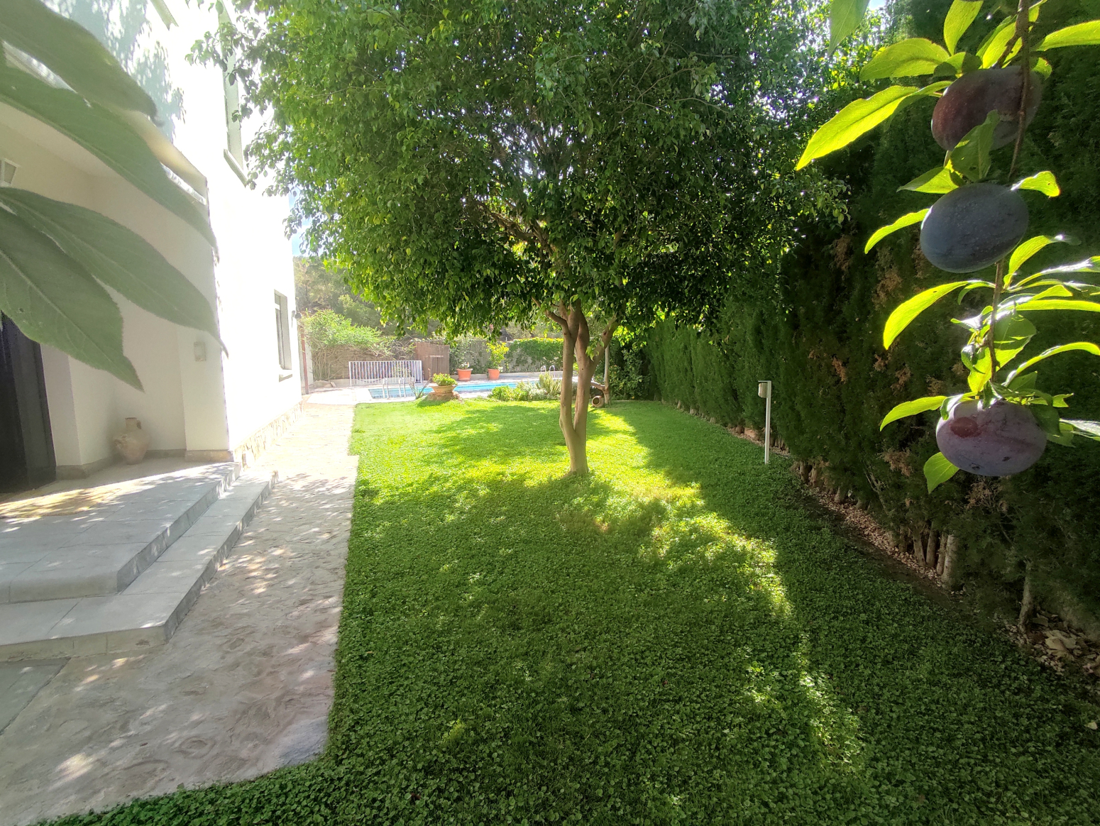 Casas o chalets-Venta-PuÃ§ol-1186076-Foto-16