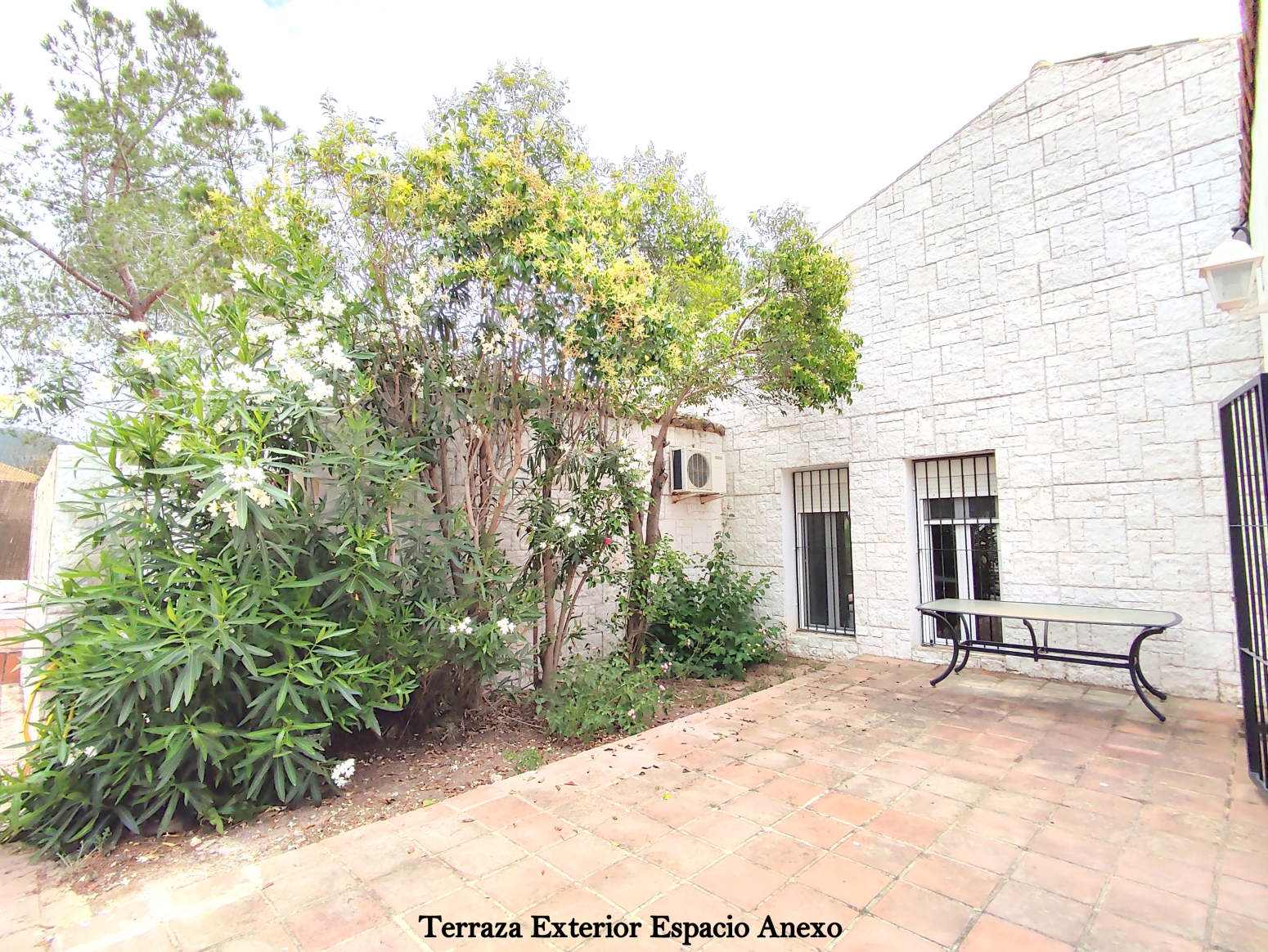 Casas o chalets-Alquiler-PuÃ§ol-2283932-Foto-39