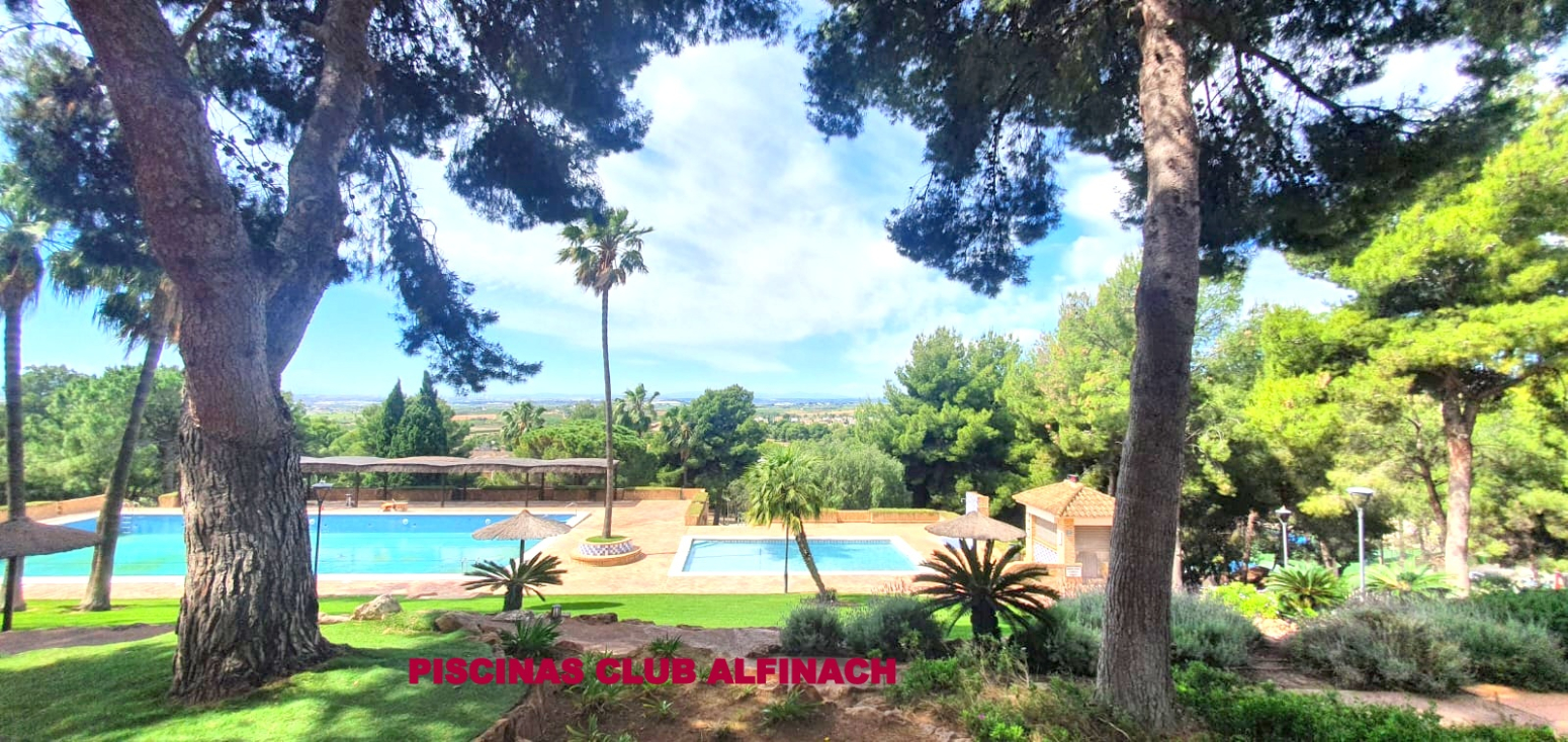 Casas o chalets-Alquiler-PuÃ§ol-2283932-Foto-51