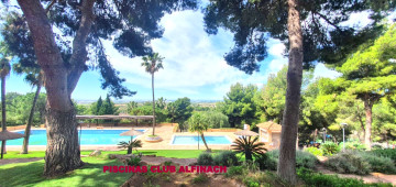 Casas o chalets-Alquiler-Puçol-2283932-Foto-50-Carrousel