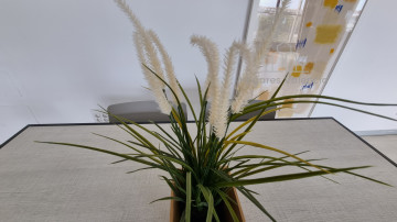 Pisos-Venta-Valencia-1731714-Foto-3-Carrousel