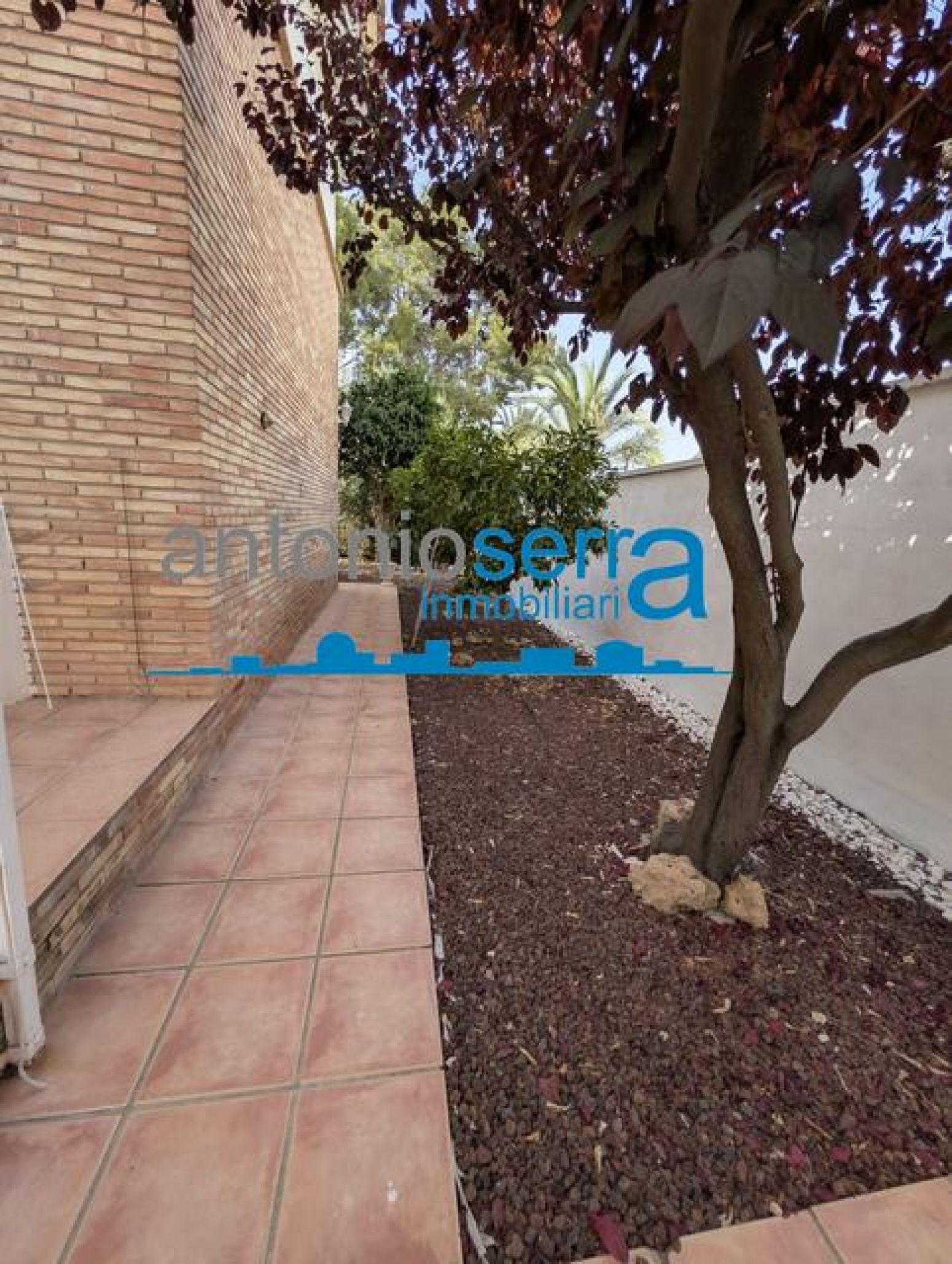 Casas o chalets-Venta-Riba-roja de TÃºria-2352762-Foto-3