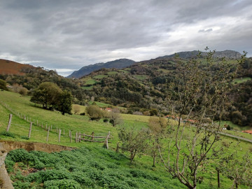 Vistas a la montaña