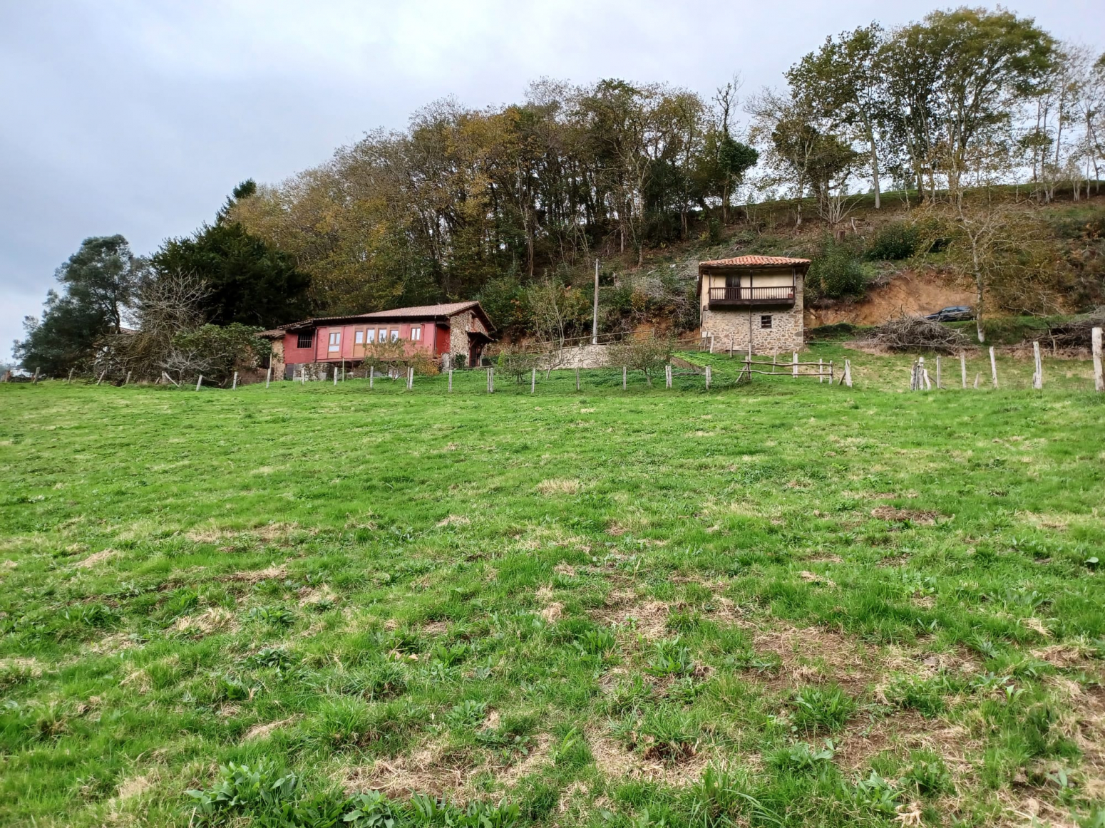 Casas o chalets-Venta-PiloÃ±a-1030641-Foto-5