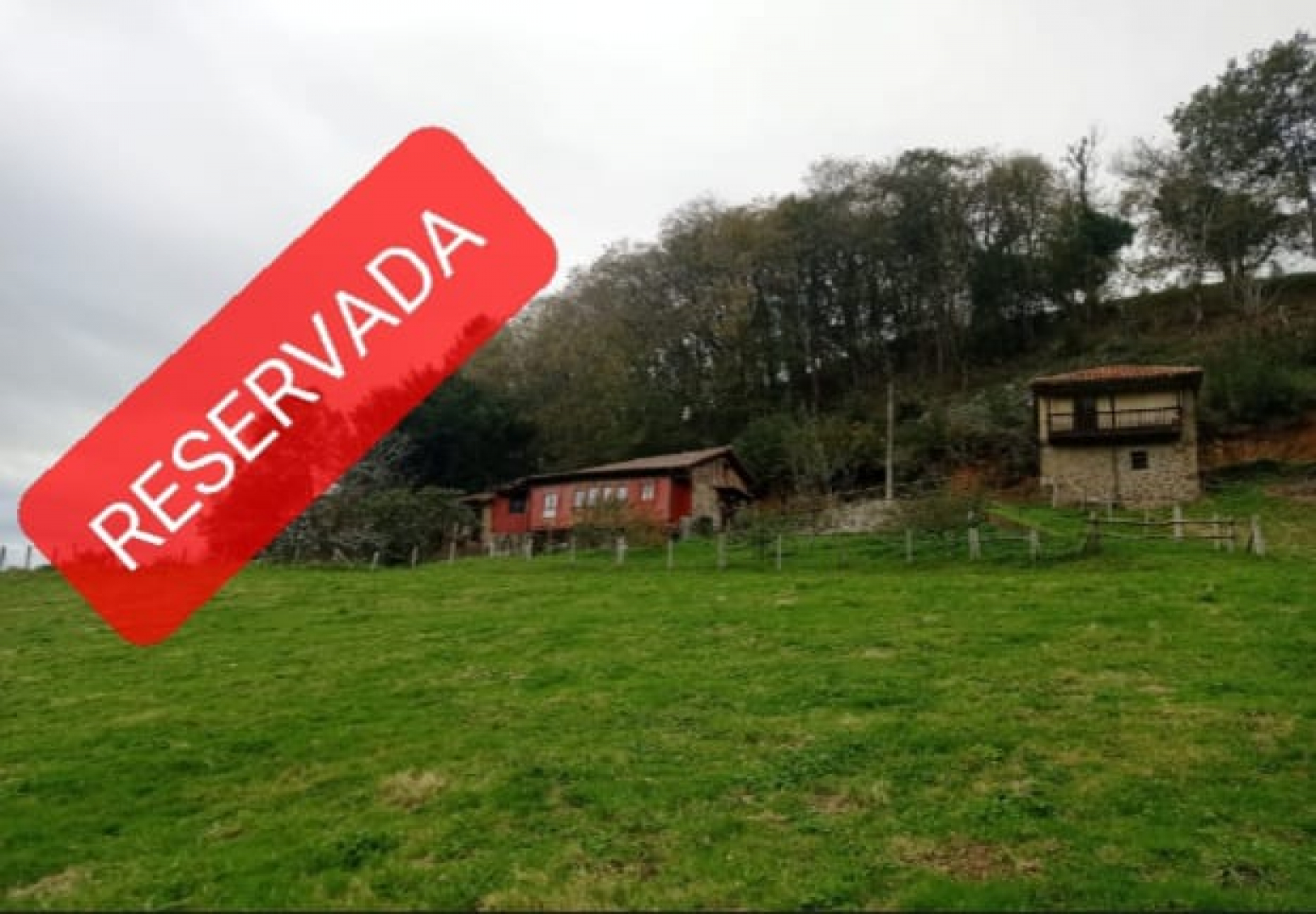 Casas o chalets-Venta-PiloÃ±a-1030641-Foto-1