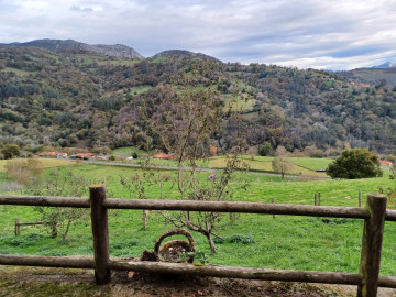 Vistas a la montaña