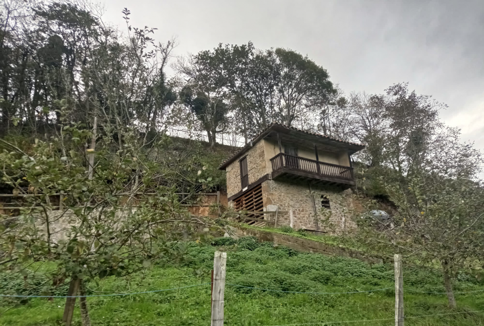 Casas o chalets-Venta-PiloÃ±a-1030641-Foto-10