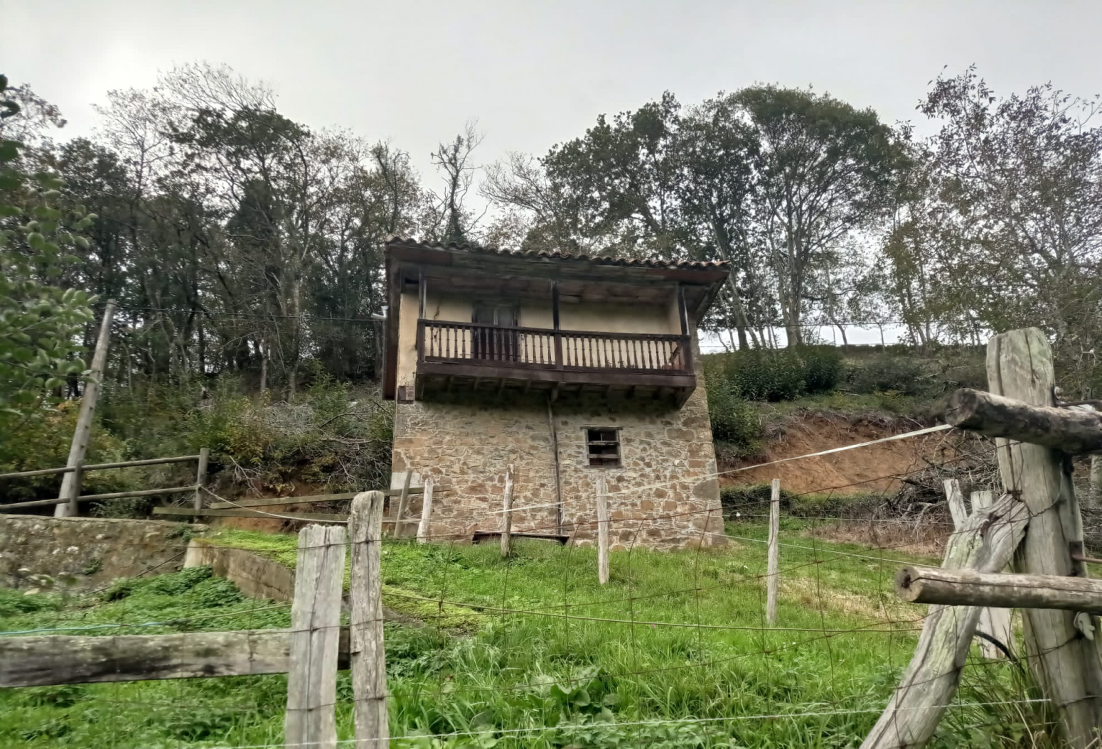 Casas o chalets-Venta-PiloÃ±a-1030641-Foto-9