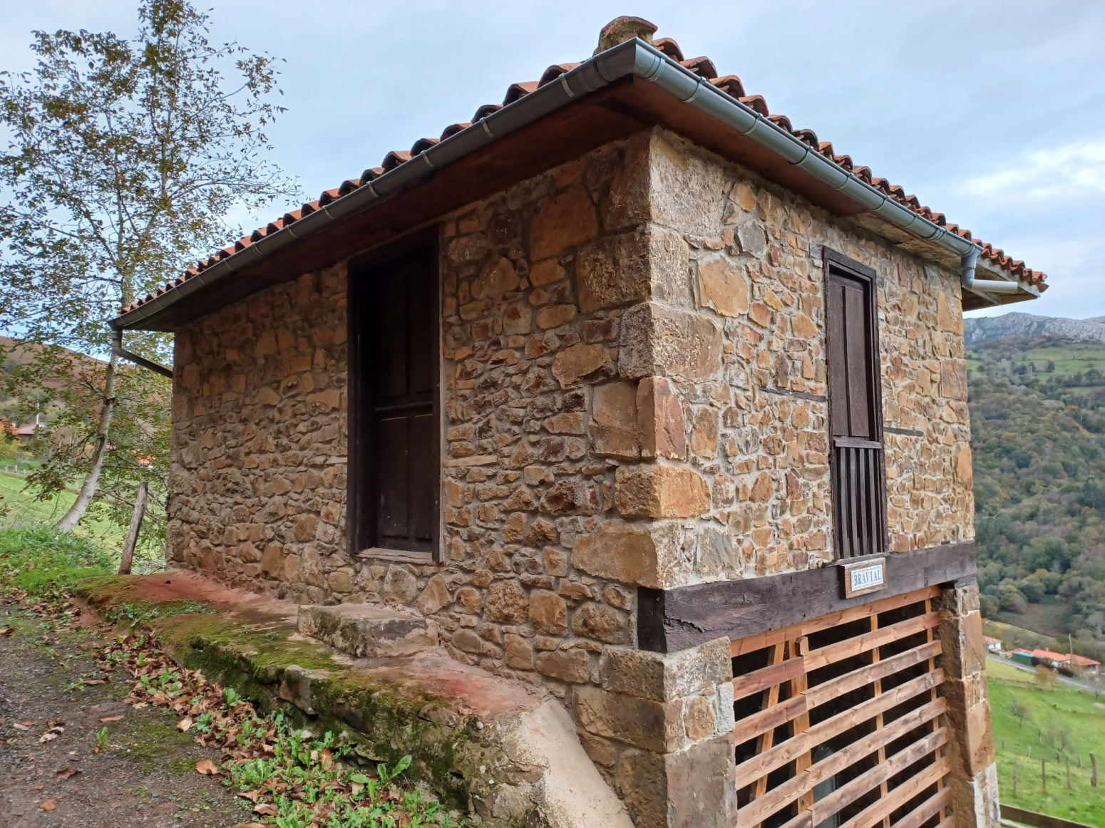 Casas o chalets-Venta-PiloÃ±a-1030641-Foto-20