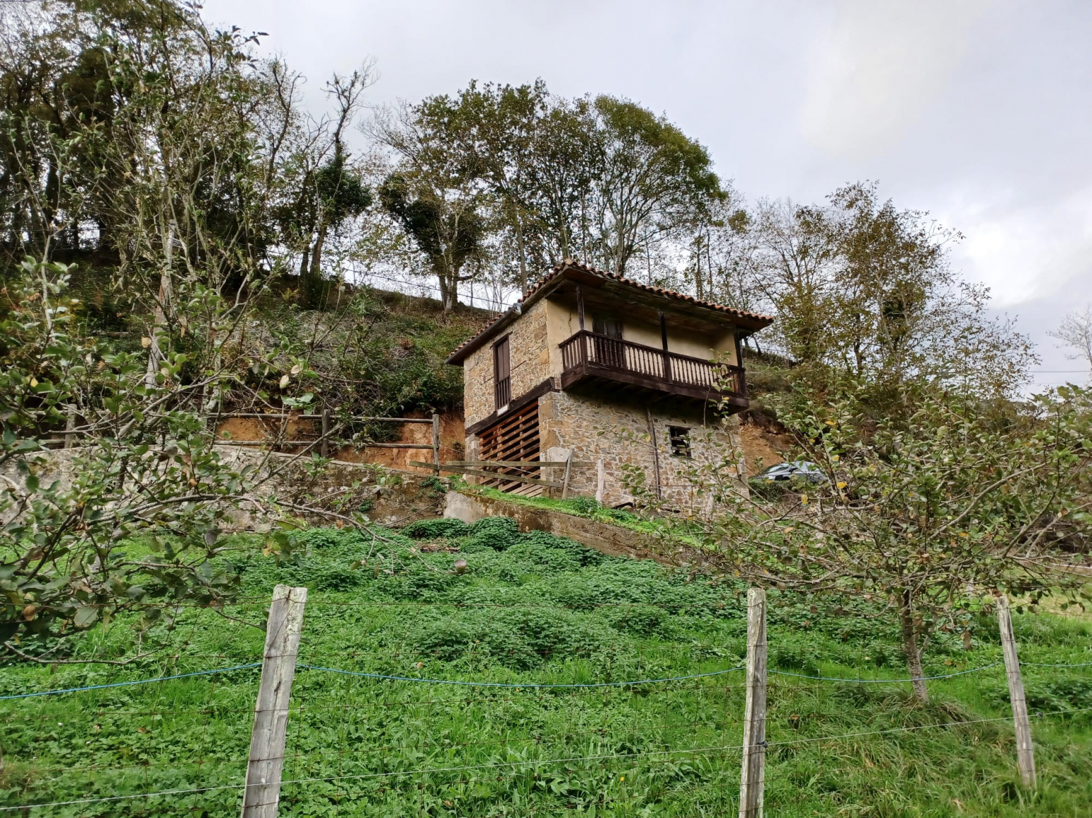 Casas o chalets-Venta-PiloÃ±a-1030641-Foto-40