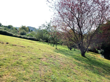 Fincas y solares-Venta-GijÃ³n-1397434-Foto-44-Carrousel