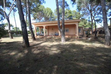 Casas o chalets-Alquiler-Paterna-2248712-Foto-2-Carrousel