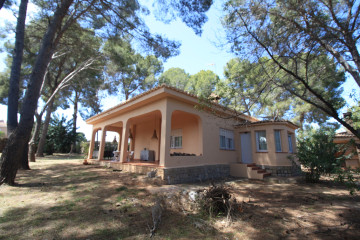 Casas o chalets-Alquiler-Paterna-2248712