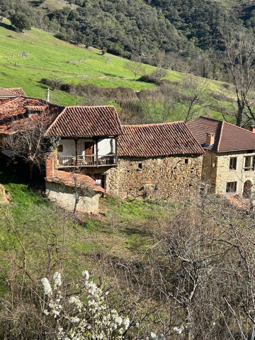 Casas o chalets-Venta-Vega de Liébana-1439806