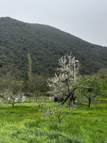 Casas o chalets-Venta-Vega de LiÃ©bana-1731636-Foto-44-Carrousel
