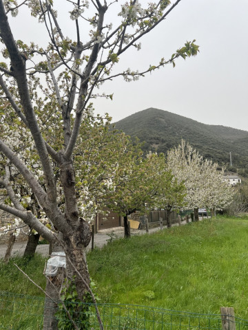 Casas o chalets-Venta-Vega de LiÃ©bana-1731636-Foto-45-Carrousel