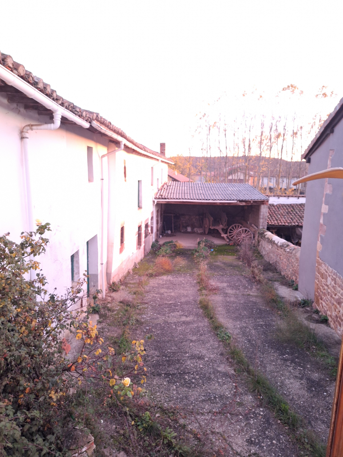 Casas o chalets-Venta-Salinas de Pisuerga-1036685-Foto-19