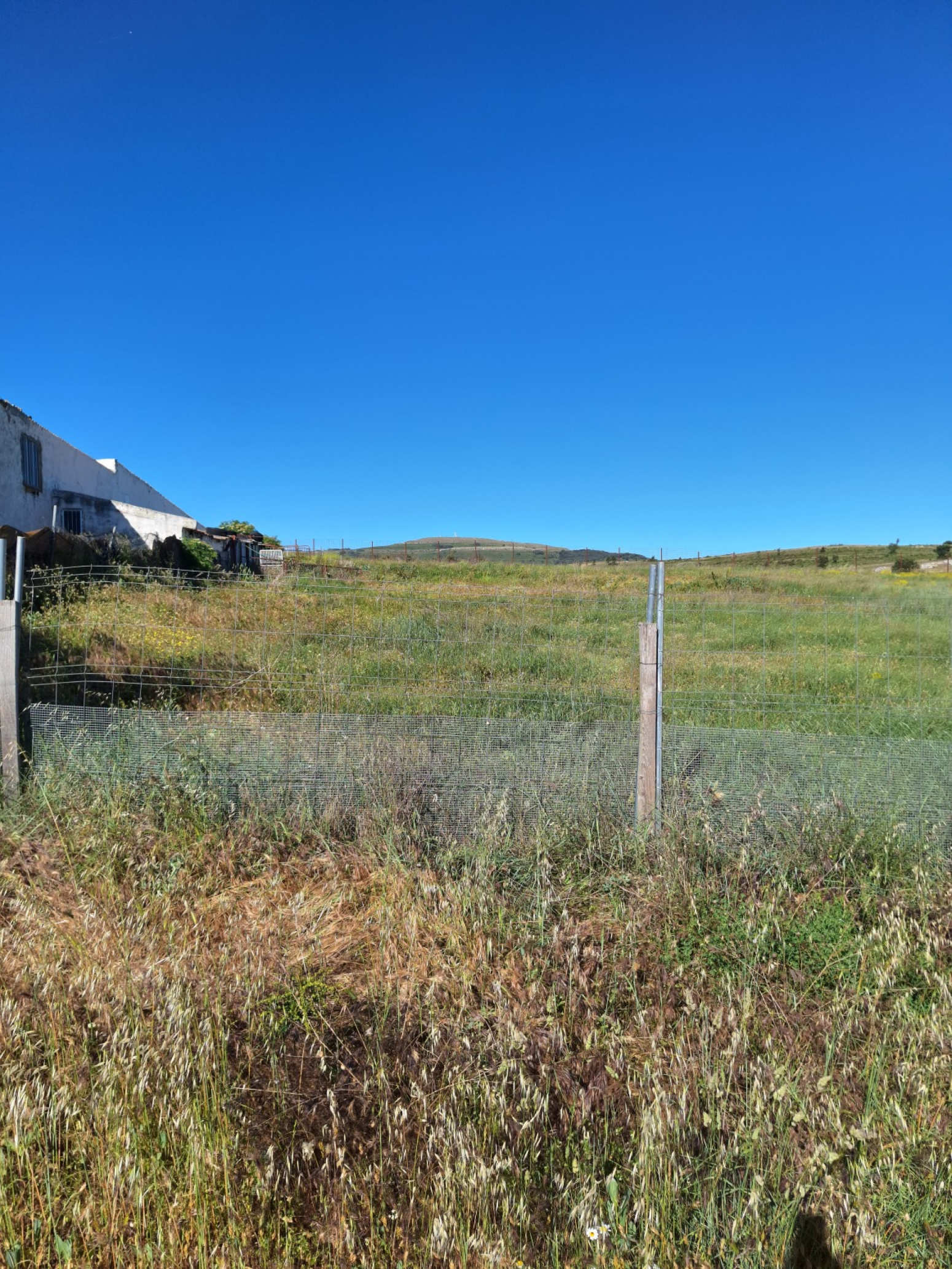 Locales-Venta-Pomar de Valdivia-2314603-Foto-15