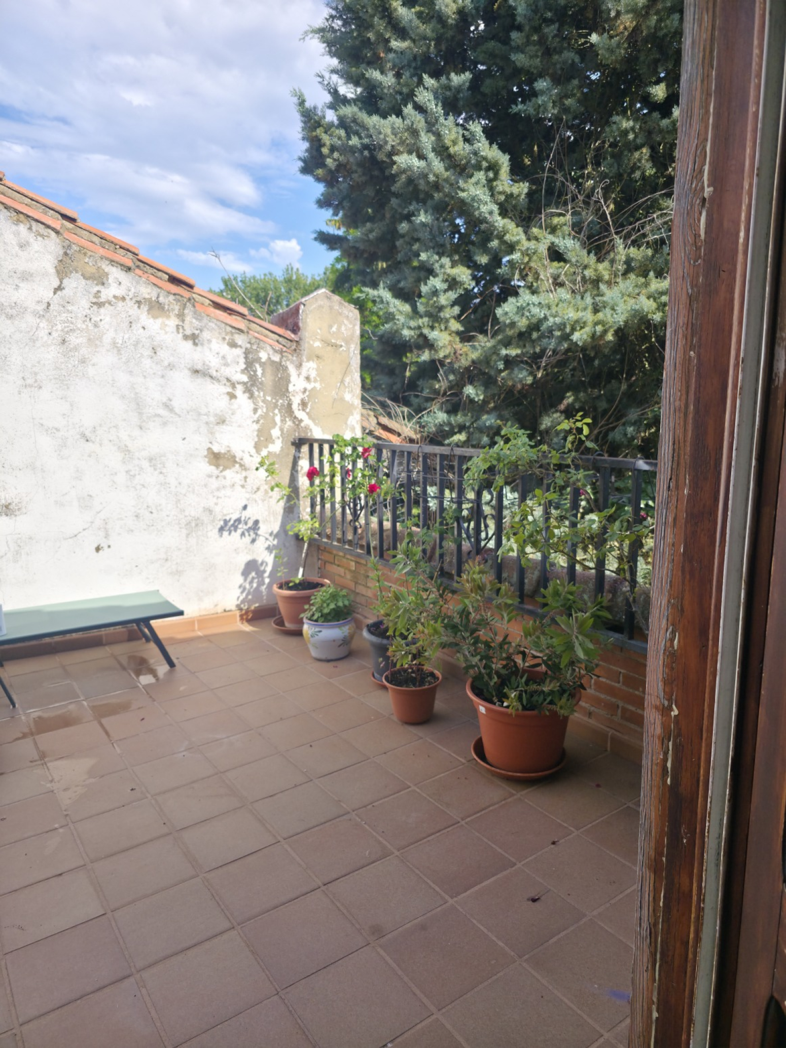 Locales-Venta-Aguilar de Campoo-2347873-Foto-118