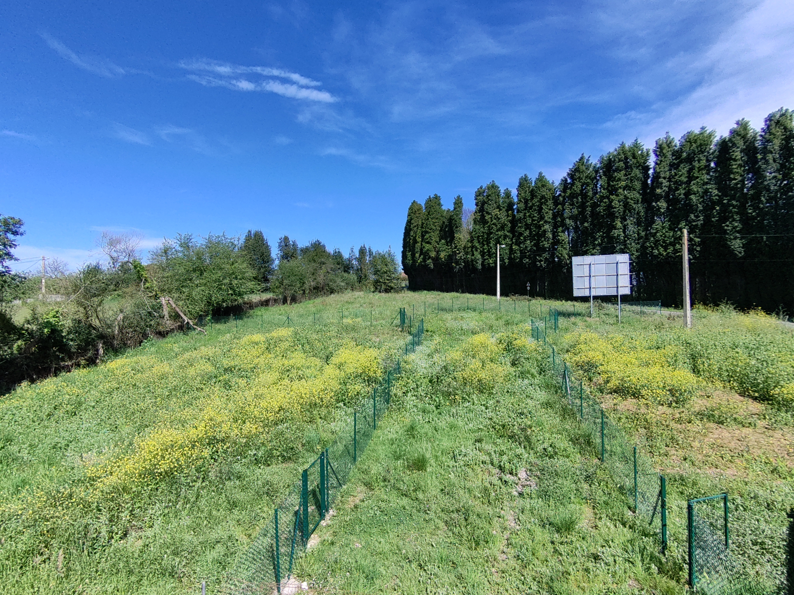 Fincas y solares-Venta-Siero-1069923-Foto-2