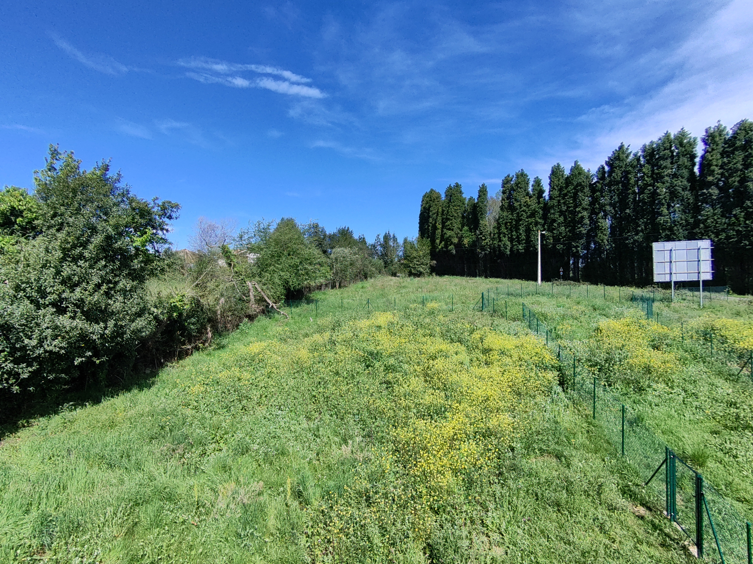 Fincas y solares-Venta-Siero-1069923-Foto-37