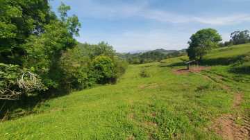 Finca