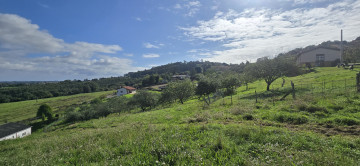 Finca