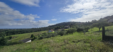 Finca