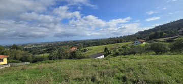 Finca